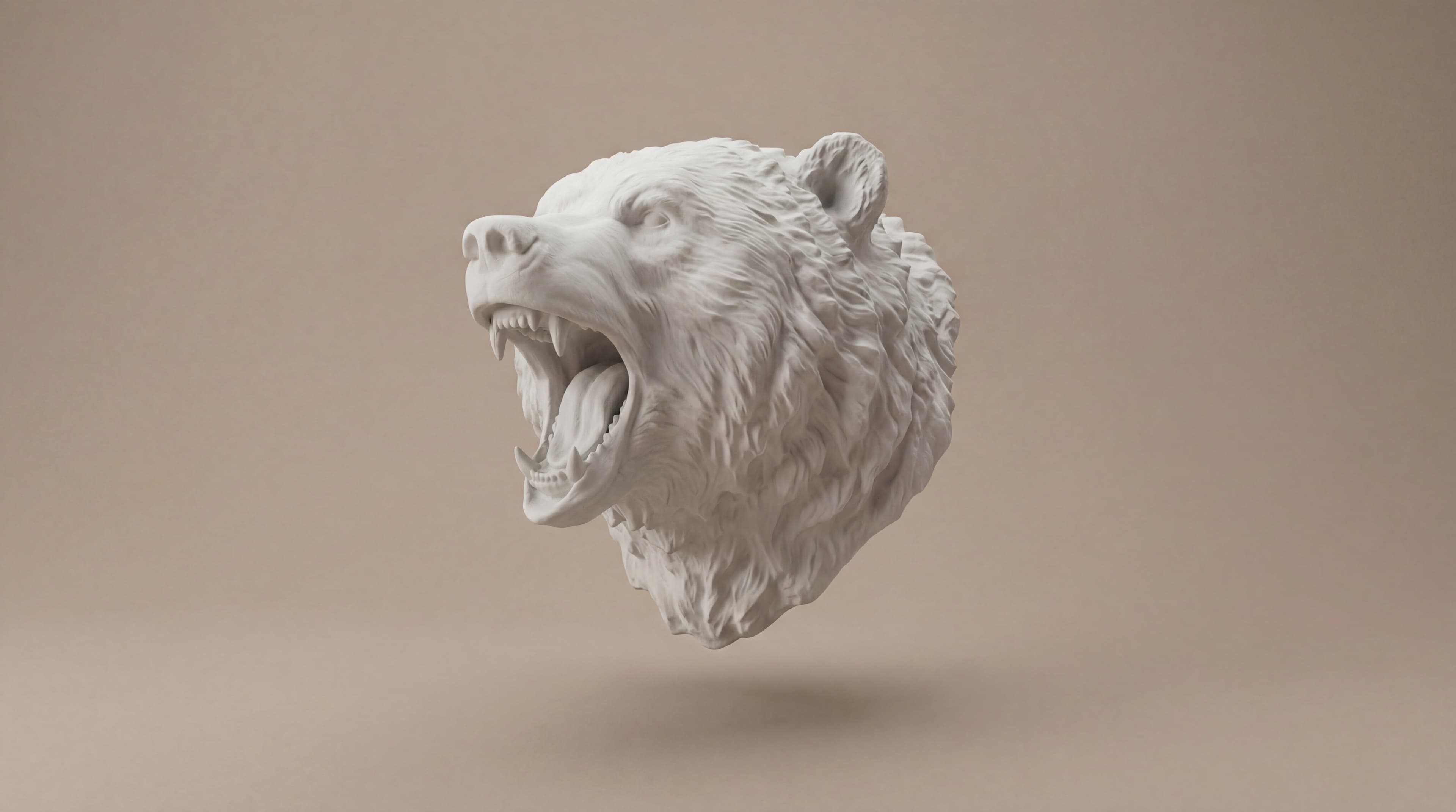 Wild White studio process