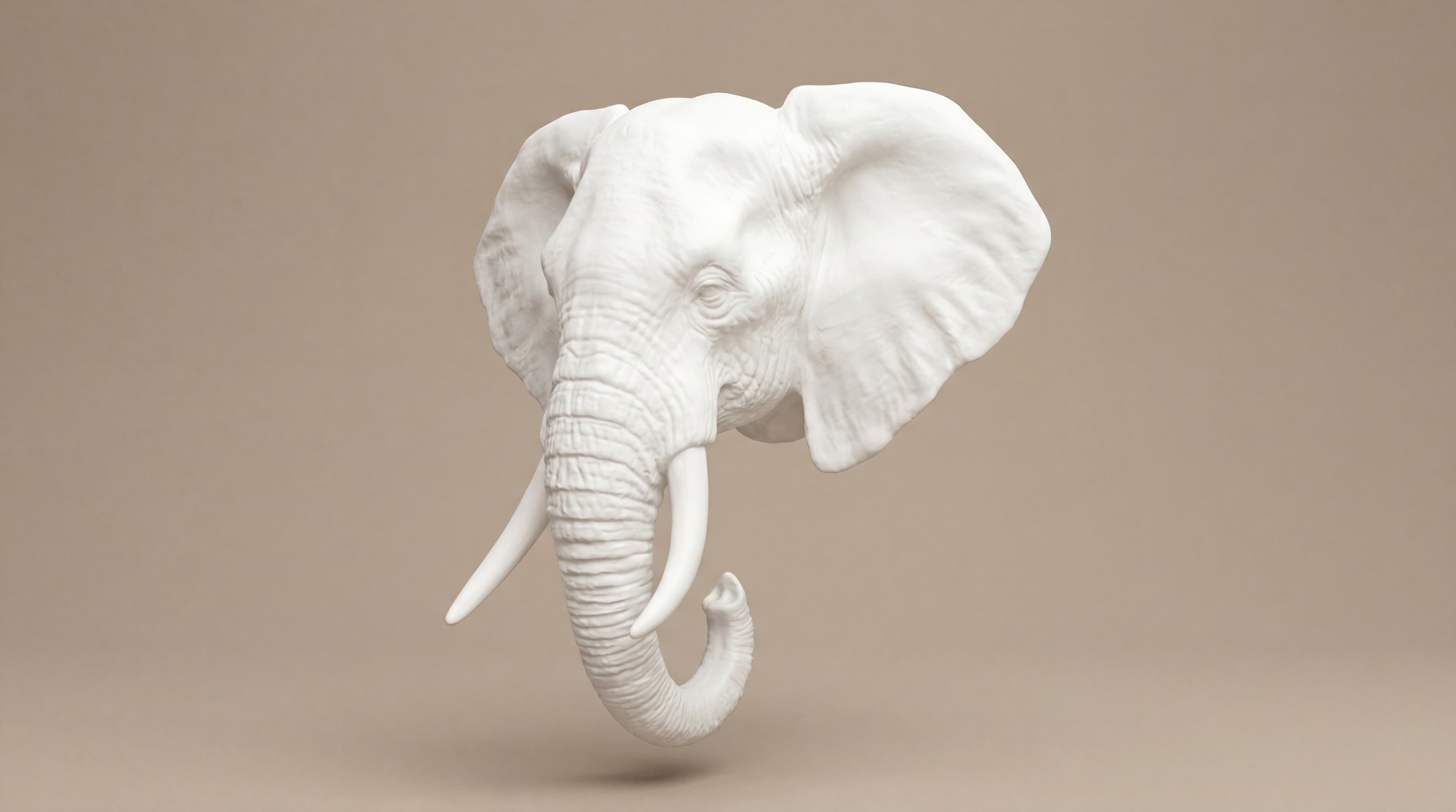 Wild White craftsmanship detail